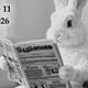 All-Aboard for Sock News, Vol. 11 - March 2026