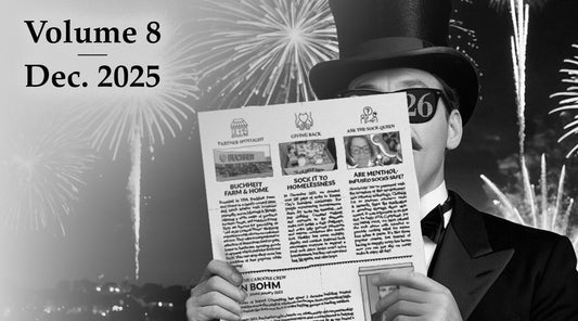 All Aboard for Sock News - Volume 8, December 2025