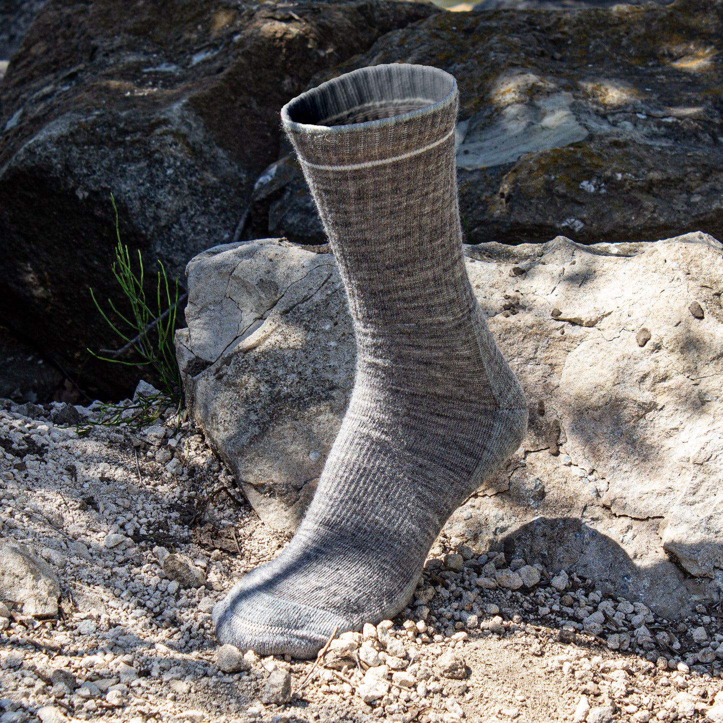 Medium Outdoor Merino Wool Micro Crew Socks (2pr)